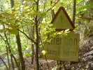 DSC01214.JPG