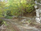 DSC01216.JPG