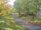 DSC01228.JPG