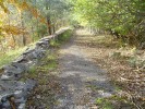 DSC01231.JPG