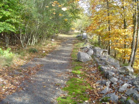 DSC01232.JPG