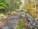 DSC01232.JPG