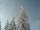 DSC01443.JPG