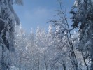 DSC01444.JPG
