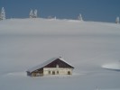 DSC01445.JPG