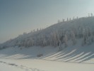 DSC01446.JPG
