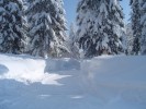 DSC01450.JPG