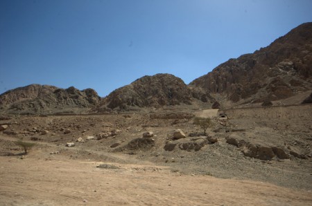 DSC_0001.jpg