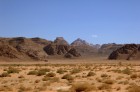 DSC_0016.NEF.jpg