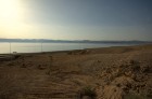DSC_0021.NEF.jpg