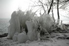 DSC_0030.JPG