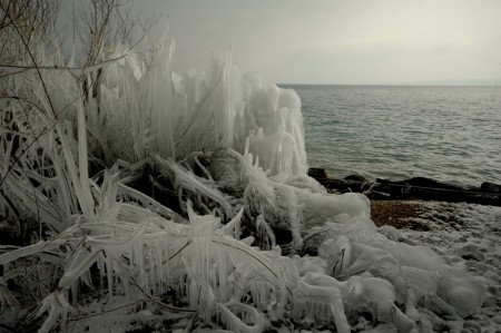 DSC_0031.JPG