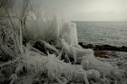 DSC_0031.JPG