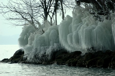 DSC_0036-1.JPG