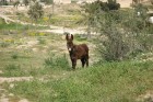 DSC_0137.JPG