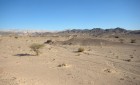 DSC_0141.NEF.jpg