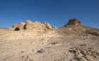DSC_0143.NEF.jpg