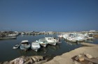 DSC_0143.jpg