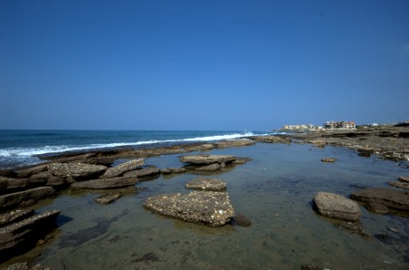 DSC_0153.NEF.jpg