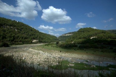 DSC_0156.jpg