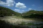 DSC_0156.jpg