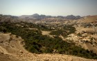 DSC_0157.NEF.jpg