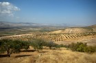 DSC_0161.NEF.jpg