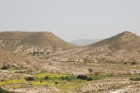 DSC_0197.jpg