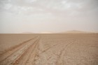 DSC_0223.jpg