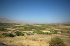 DSC_0236.jpg