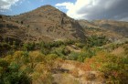 DSC_0249.jpg
