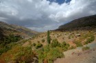 DSC_0250.jpg