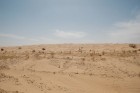 DSC_0288.jpg