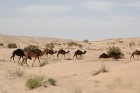 DSC_0297.jpg
