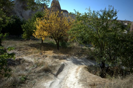 DSC_0315.JPG