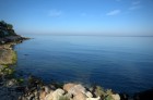 DSC_0388.NEF.jpg