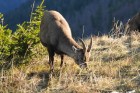DSC_1575.JPG