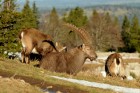 DSC_1586.JPG