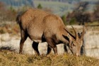 DSC_1591.JPG