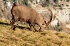 DSC_1593.JPG