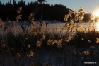 DSC_2407.JPG