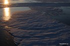 DSC_2426.JPG