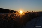 DSC_2436.JPG