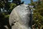 T12.T.jpg