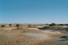 f_031226_01.JPG